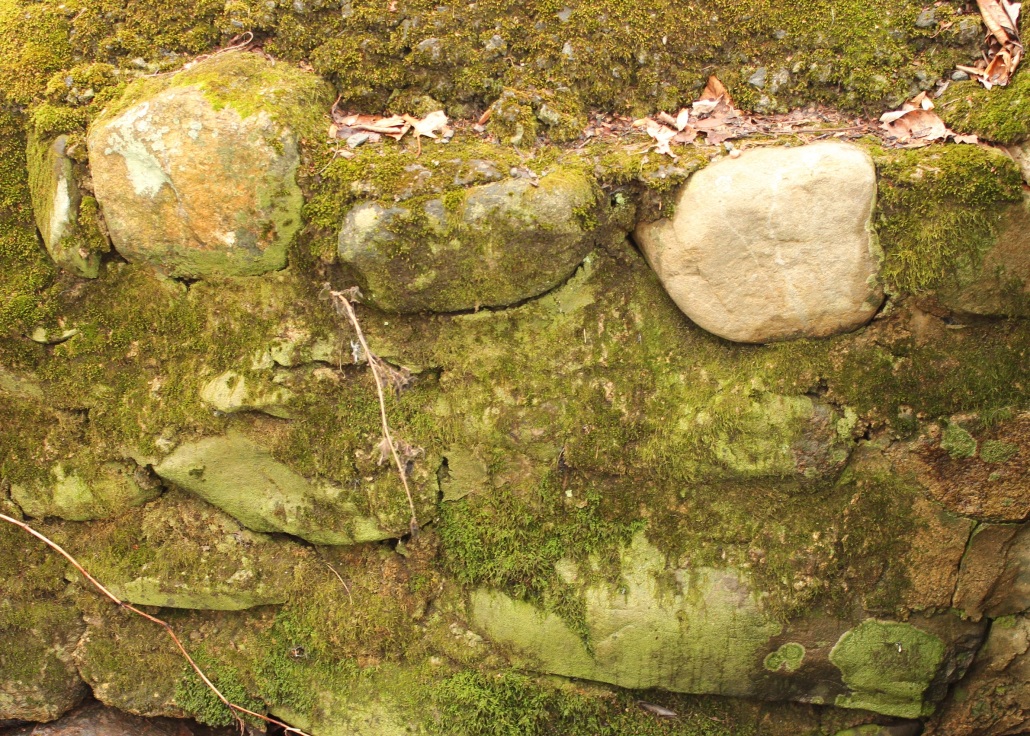 A very green rock wall next to the fairy stream