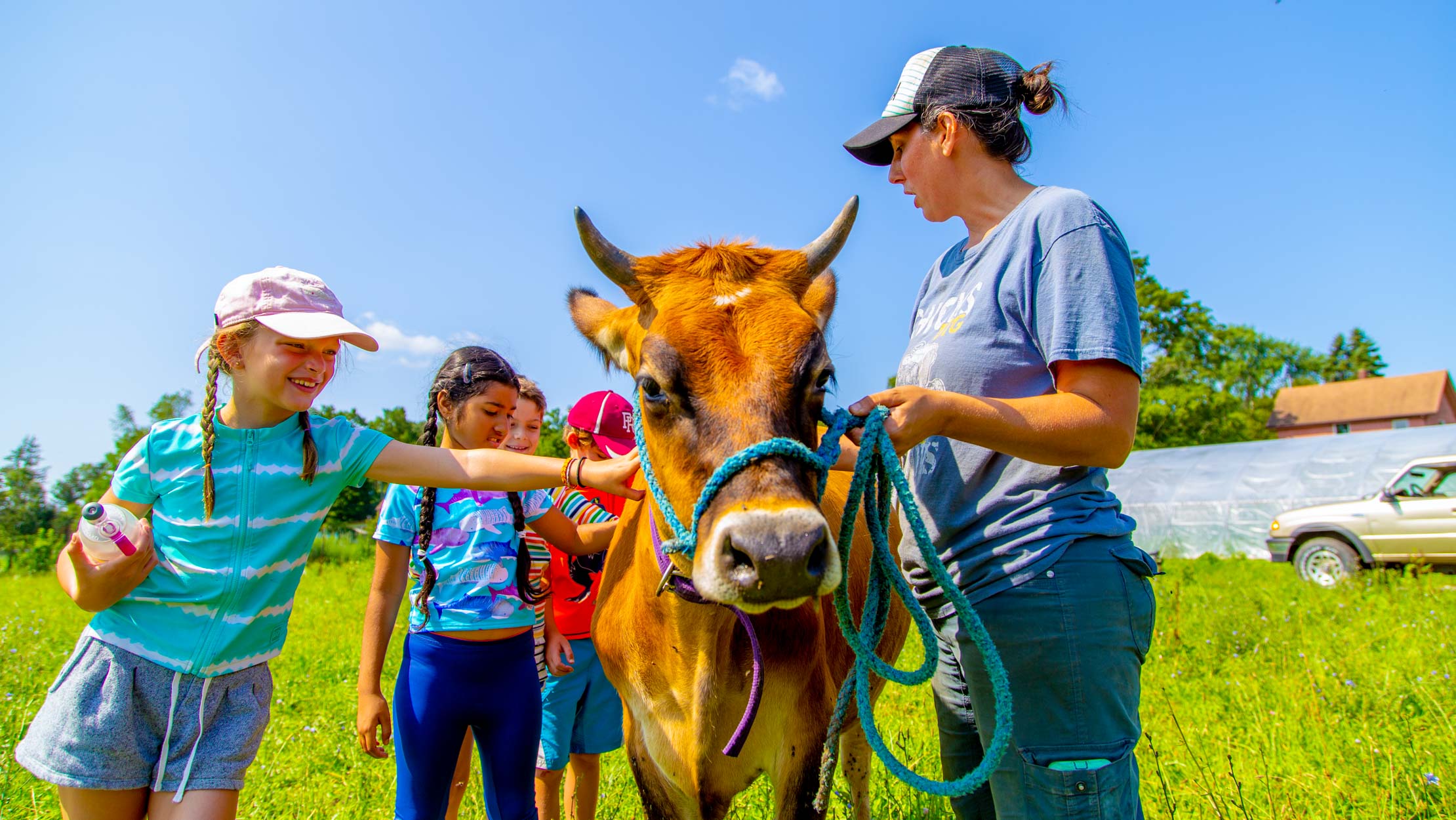 Campers petting a cow