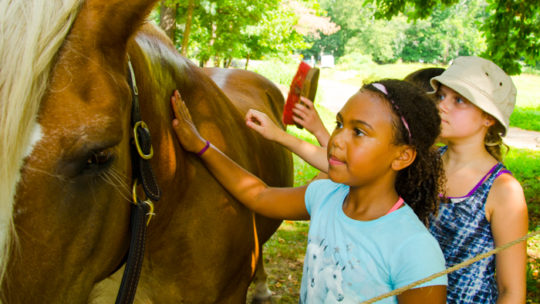 Campers petting and brushing a horse