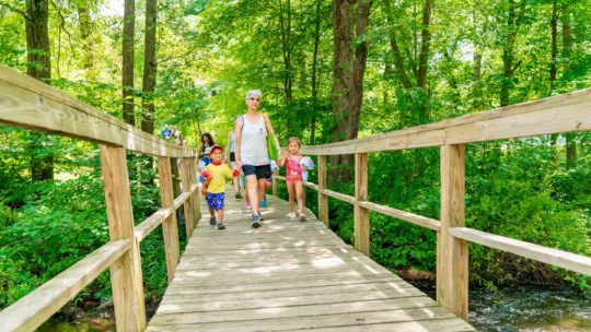 Counselor walking with young campers over a bridge in the woods