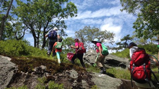 Group of campers backpacking up a hill