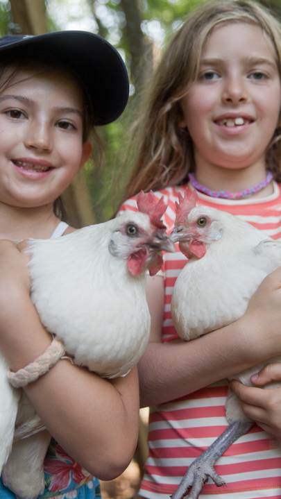Two campers holding white chickens
